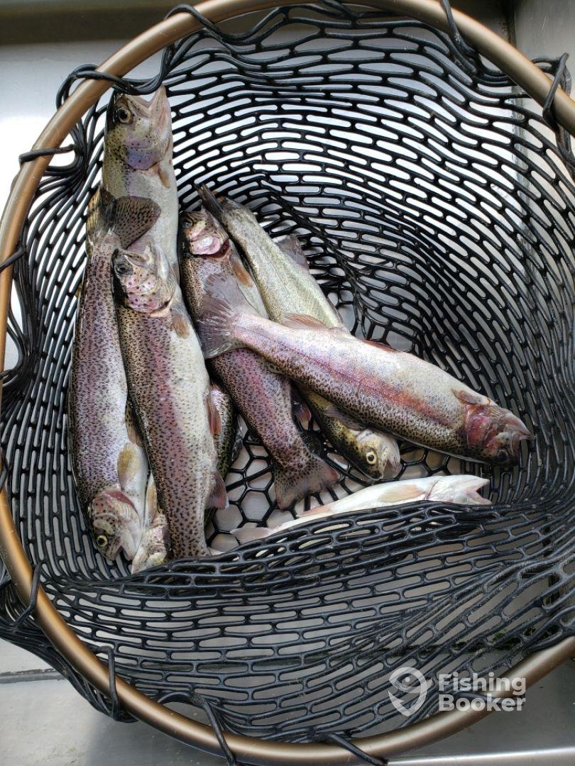 Best Fishing Guide in Branson