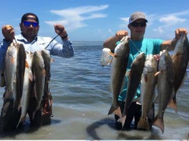 Two anglers proudly displaying their catch of Redfish while wading in shallow waters, showcasing a successful day of fishing.