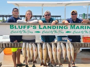 A group of four anglers proudly displaying their catch of Redfish on a board at Bluff's Landing Marina, showcasing a successful day of fishing.