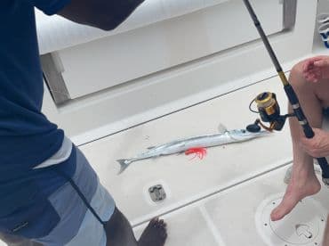 Two anglers actively fishing on a boat, with a Barracuda caught on the deck, showcasing the excitement of a fishing trip.