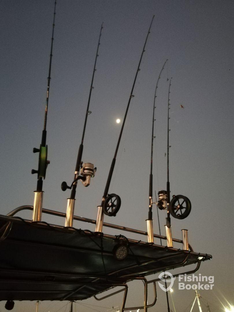 Half day Harbour fishing