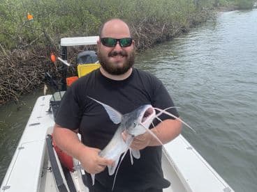 An angler proudly displaying a large Catfish while fishing in a mangrove-lined waterway.