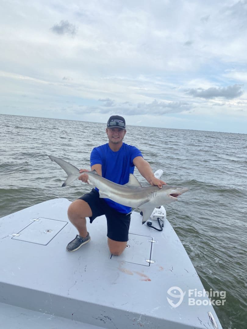 Shark trip with Captain Colten