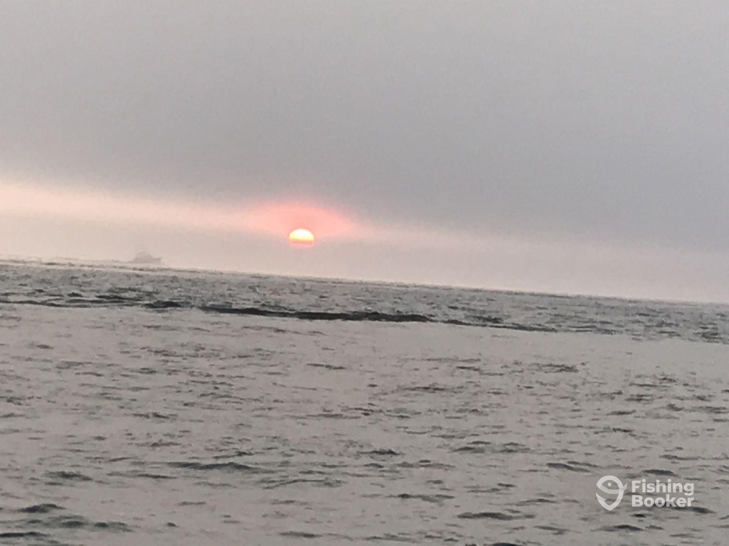 Wonderful trip with captain Chris