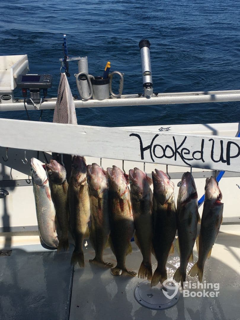 Great Full Day Trip with Captain Dan and crew
