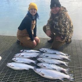 Two anglers proudly displaying their catch of multiple Salmon on a dock, showcasing a successful fishing trip.