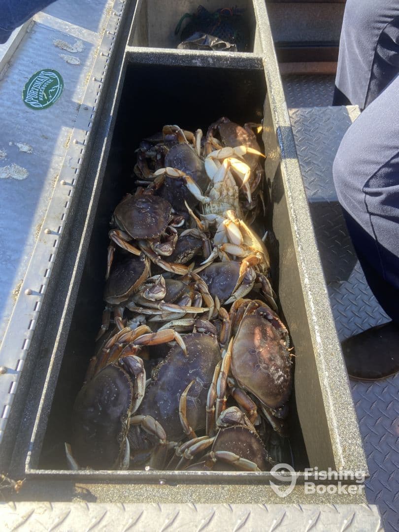 Crabbing