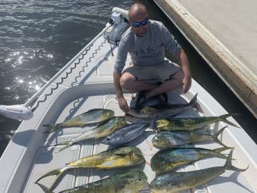 An angler proudly displaying a variety of Mahi Mahi and other species on the deck of a fishing boat after a successful outing.