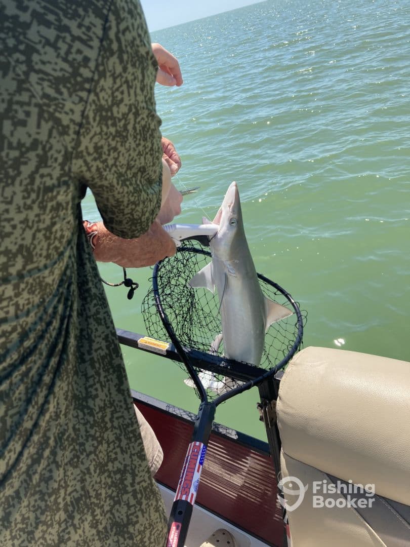 Amazing Day Fishing with Captain Dan! 
