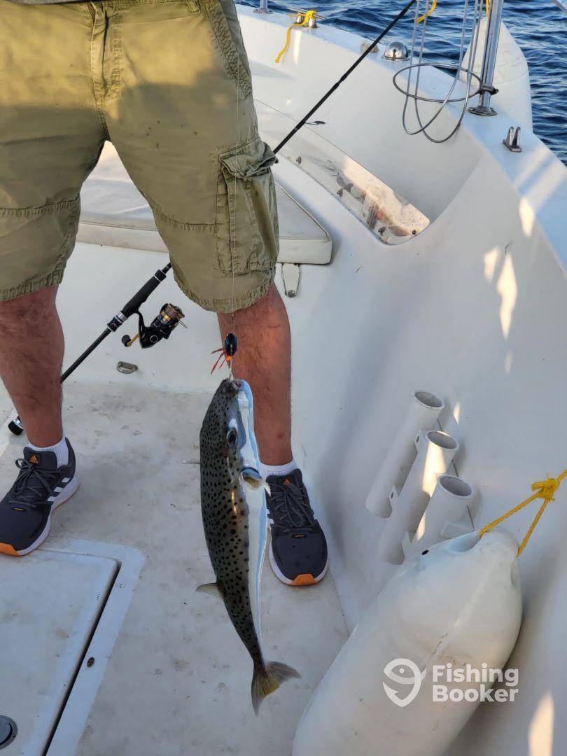 Excelent experience!