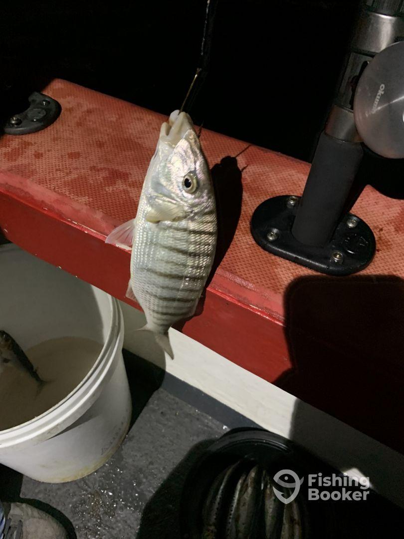 Fishing with Hookup Fishing Charters