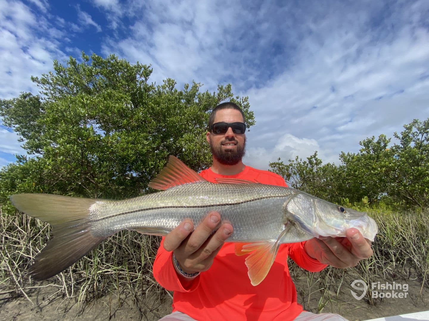 Angler proudly displaying a Snook caught in a mangrove setting, showcasing the vibrant colors of the fish against a scenic backdrop.