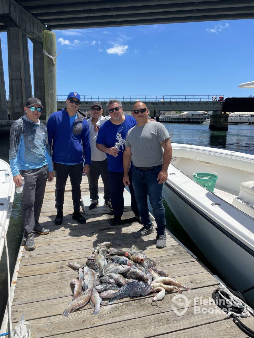 Fishing for sea bass