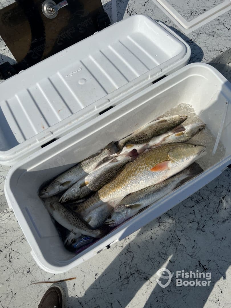 Fishing trip of excellence!!!