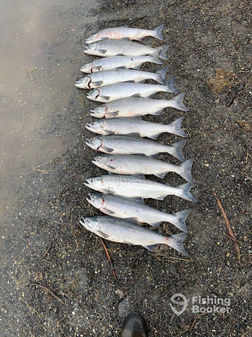 24 fish for 4 people before 7 am