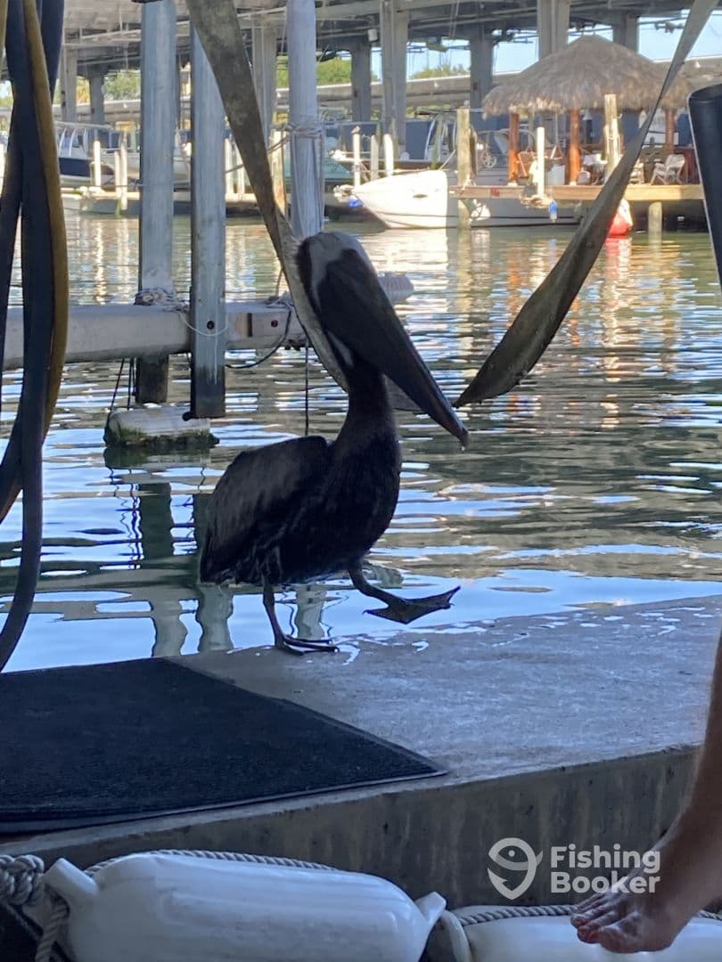 July fishing trip