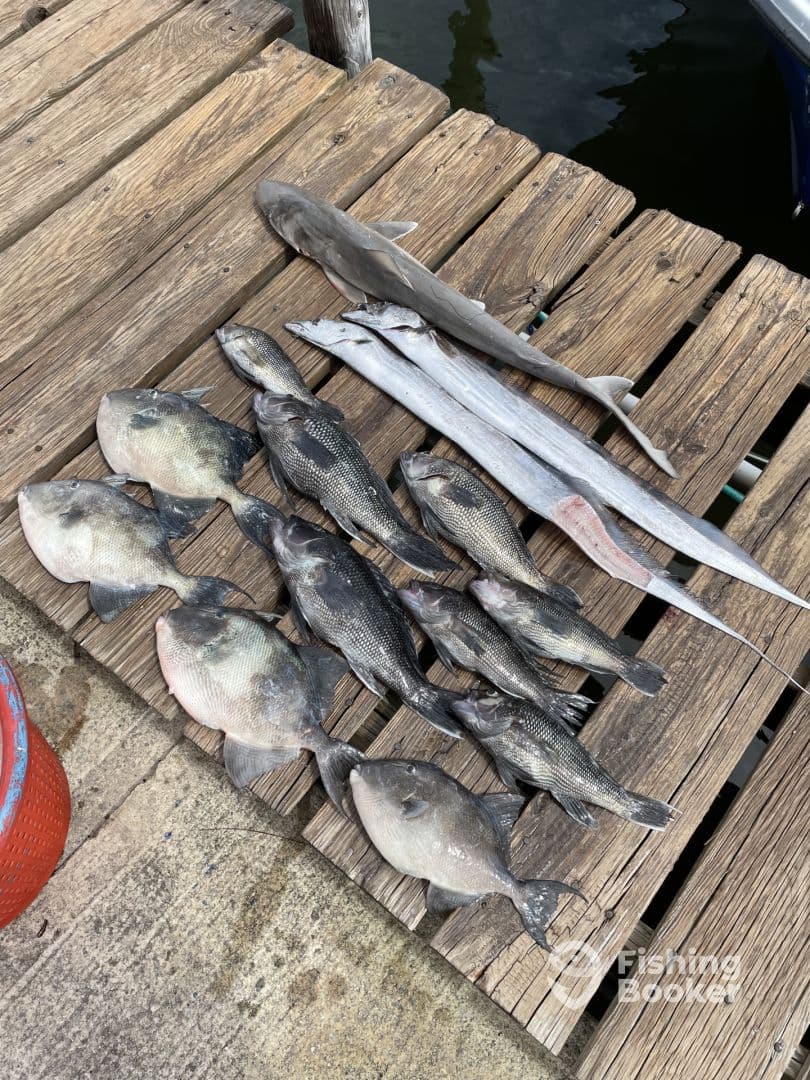 Half day charter with Captain Tom