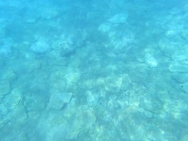 Underwater image showing a rocky seabed, lacking clear subjects or fish.