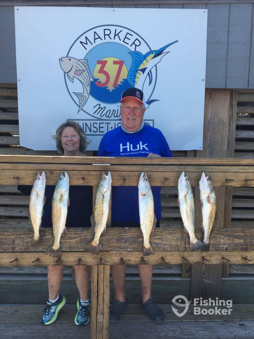 Wife’s birthday present 