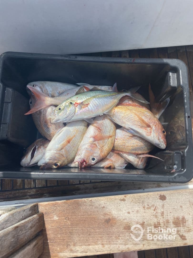 Great Day on the water