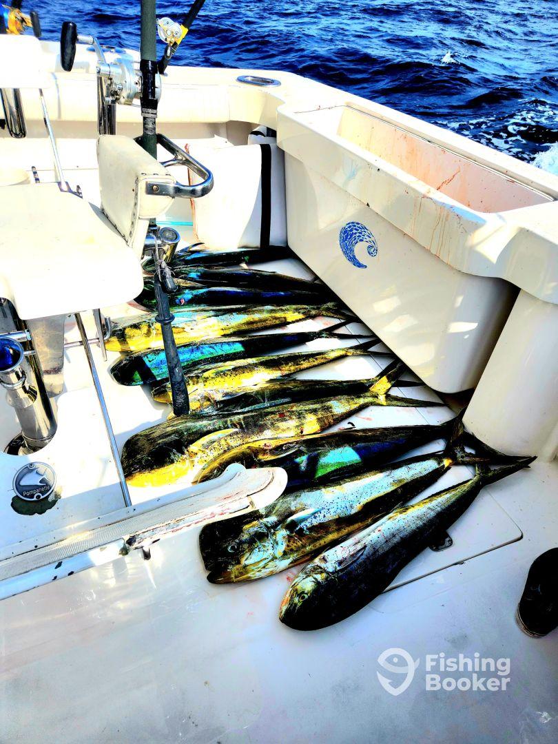 January fishing trip