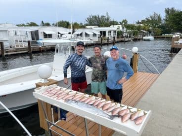 Three anglers proudly displaying their catch of Snapper and a Mackerel on a catch board at the dock, showcasing a successful fishing trip.