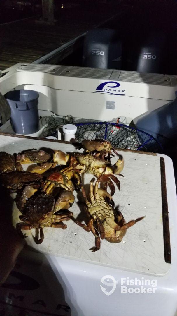 Half day with Eric and Jason. They worked hard for us and a couple of really nice people.