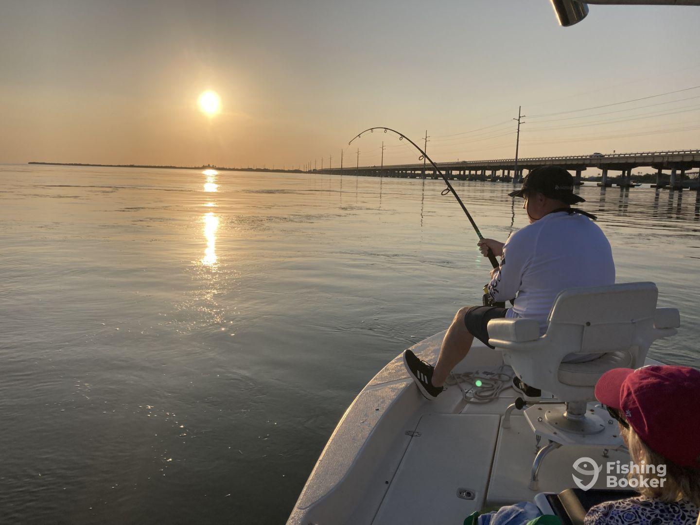 Half Day of Tarpon Fishing 