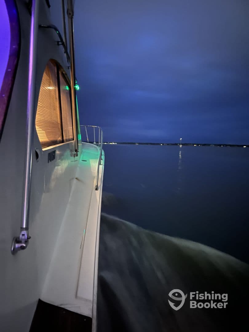 Full Day Trip with Captain Steve 