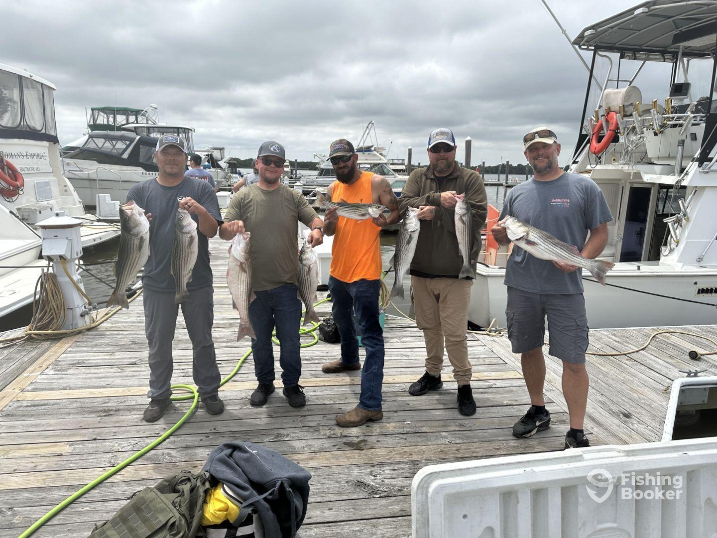 Group of anglers proudly displaying their catch of striped bass at the marina after a successful fishing trip.