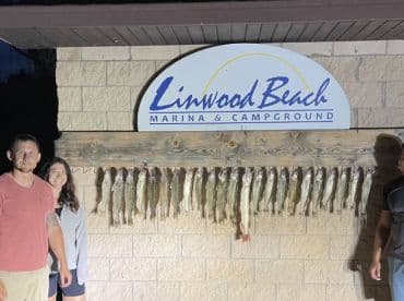 A group of anglers proudly displaying their catch of Walleye on a board at Linwood Beach Marina after a successful fishing trip.