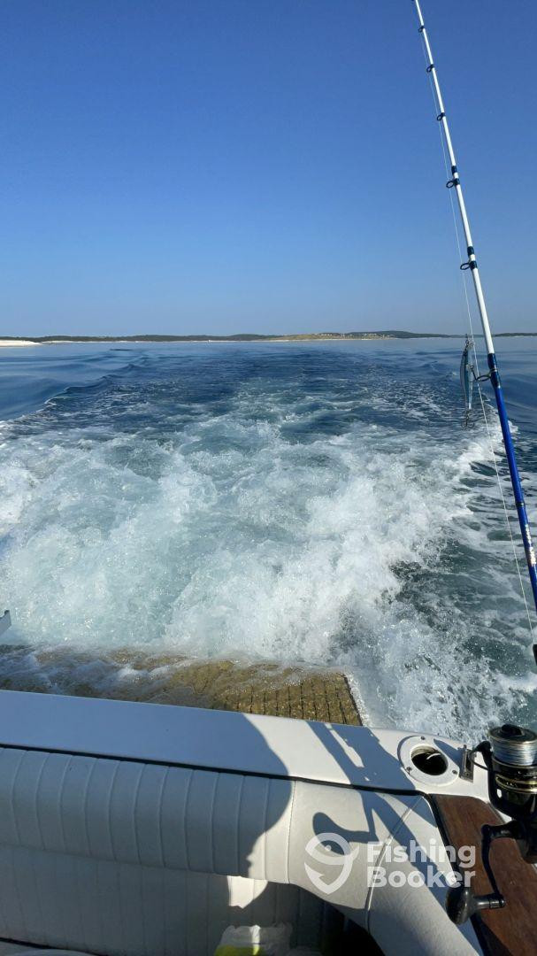 Half day trip with captain Filip 