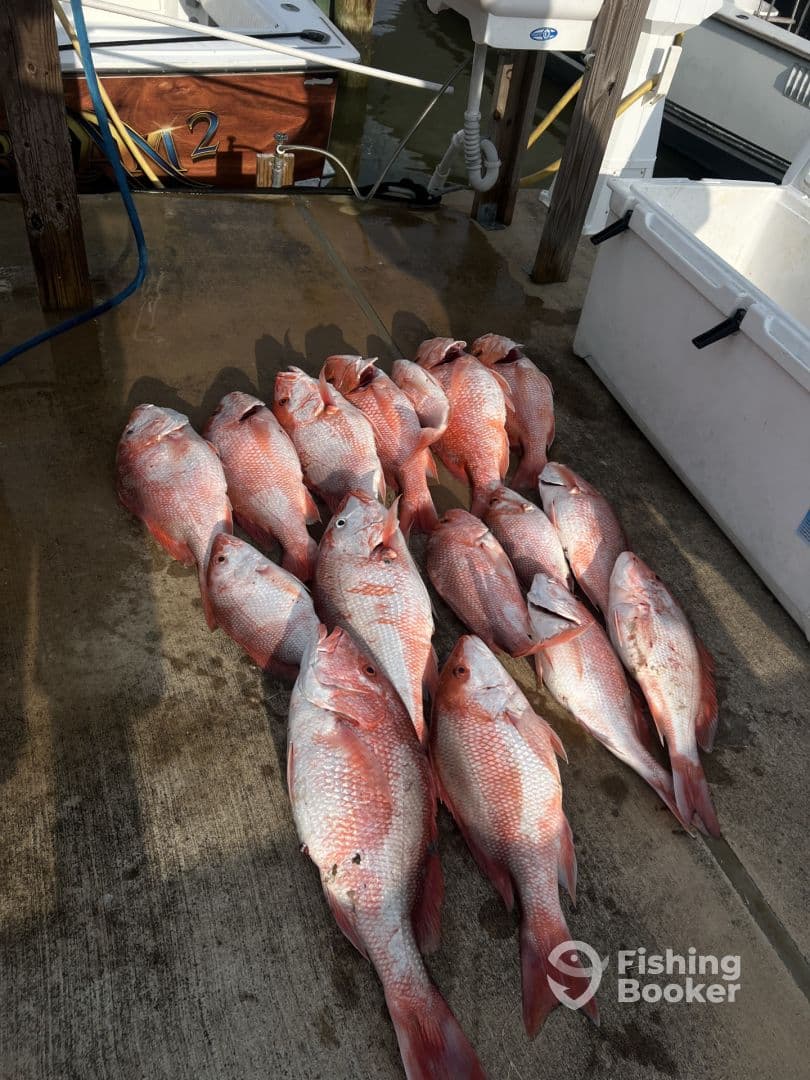 Great fishing trip! 