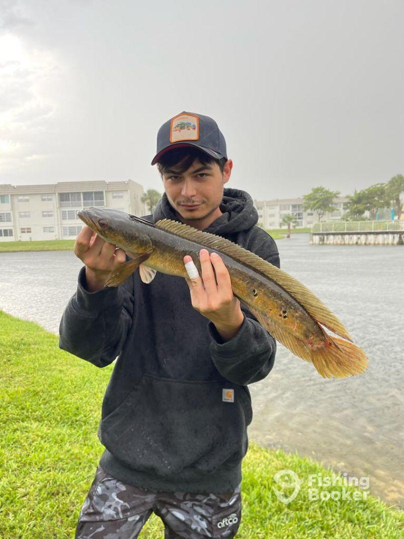 Graveyard shift snakehead hunt 🐍
