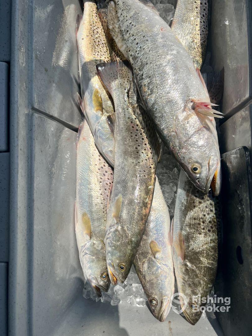 Half day trip with Captain Steve 