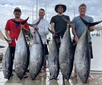 Four anglers proudly displaying their impressive catch of Yellowfin Tuna at the marina after a successful offshore fishing trip.