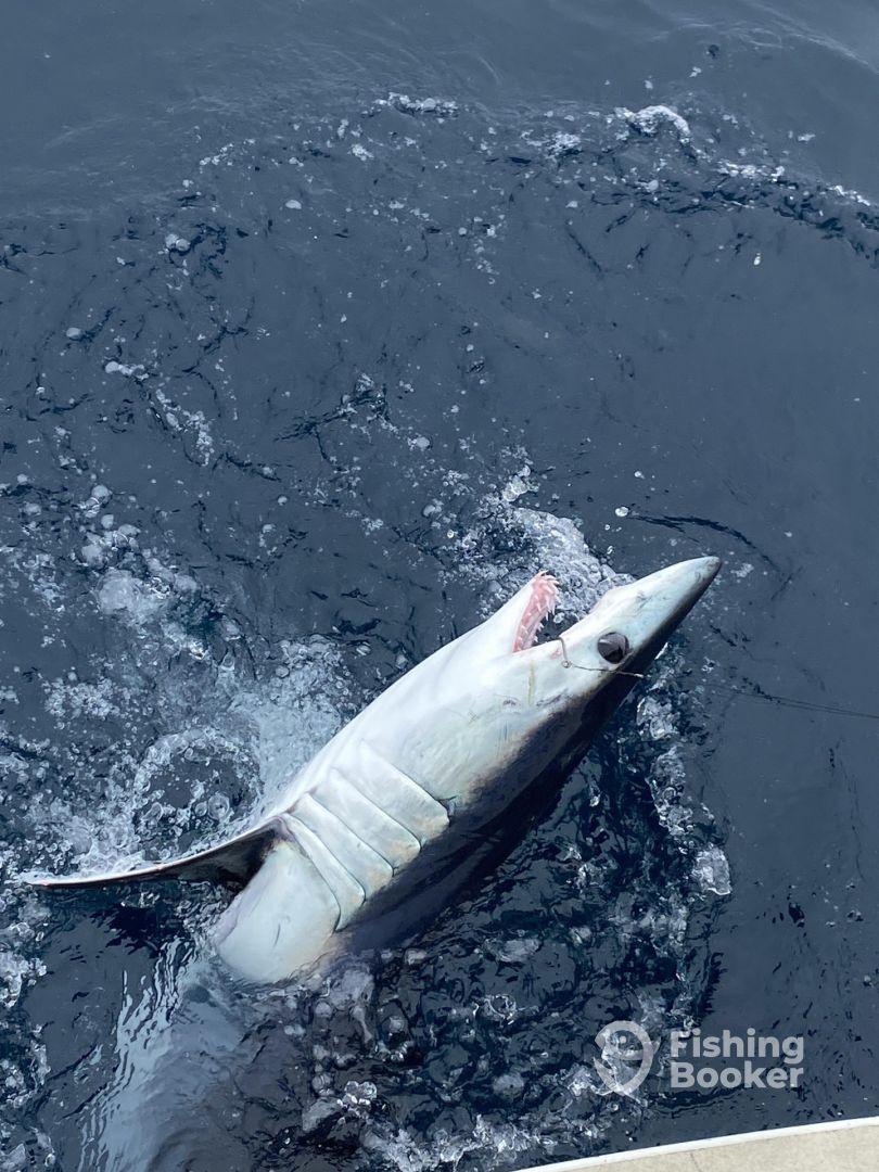 5 Hour Sight Fishing Thrill with Capt Brian 