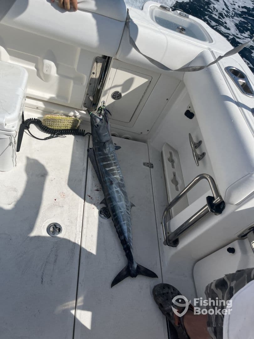 Fishing trip in July