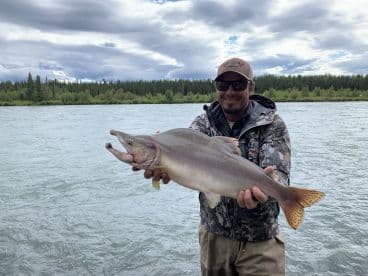 Angler proudly displaying a large Salmon caught in a scenic river setting, surrounded by lush greenery and cloudy skies.