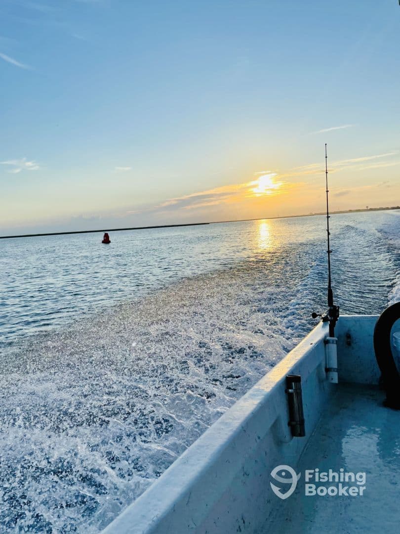 Half day with Babu Charters - Captain James Wilkinson 