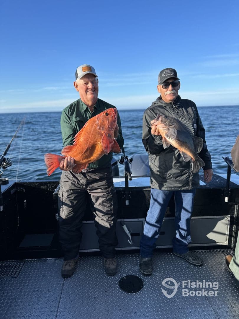 Fantastic Trip and Guides