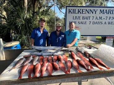 Three anglers proudly displaying a variety of freshly caught fish, including Snapper and Grouper, at Kilkenny Marina.