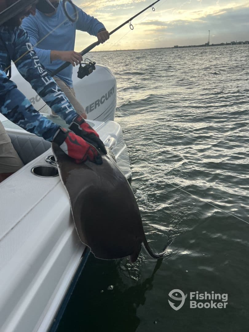 Fun evening on the Harbor