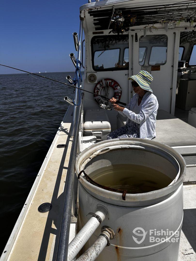 great day out on bay