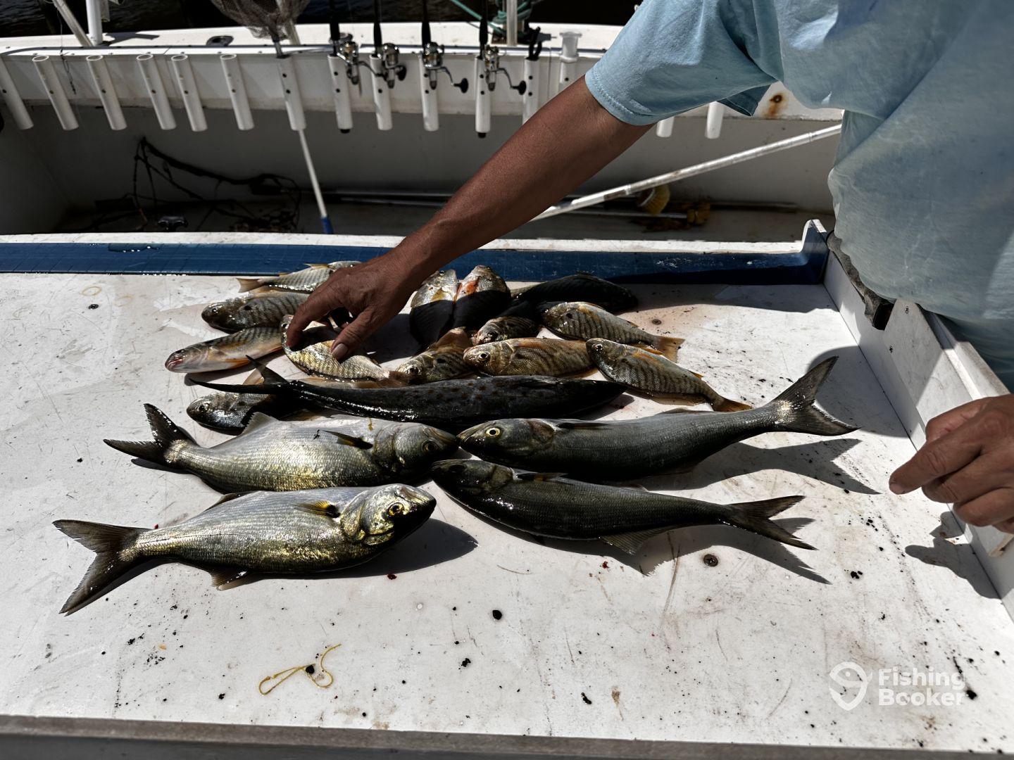 great day out on bay