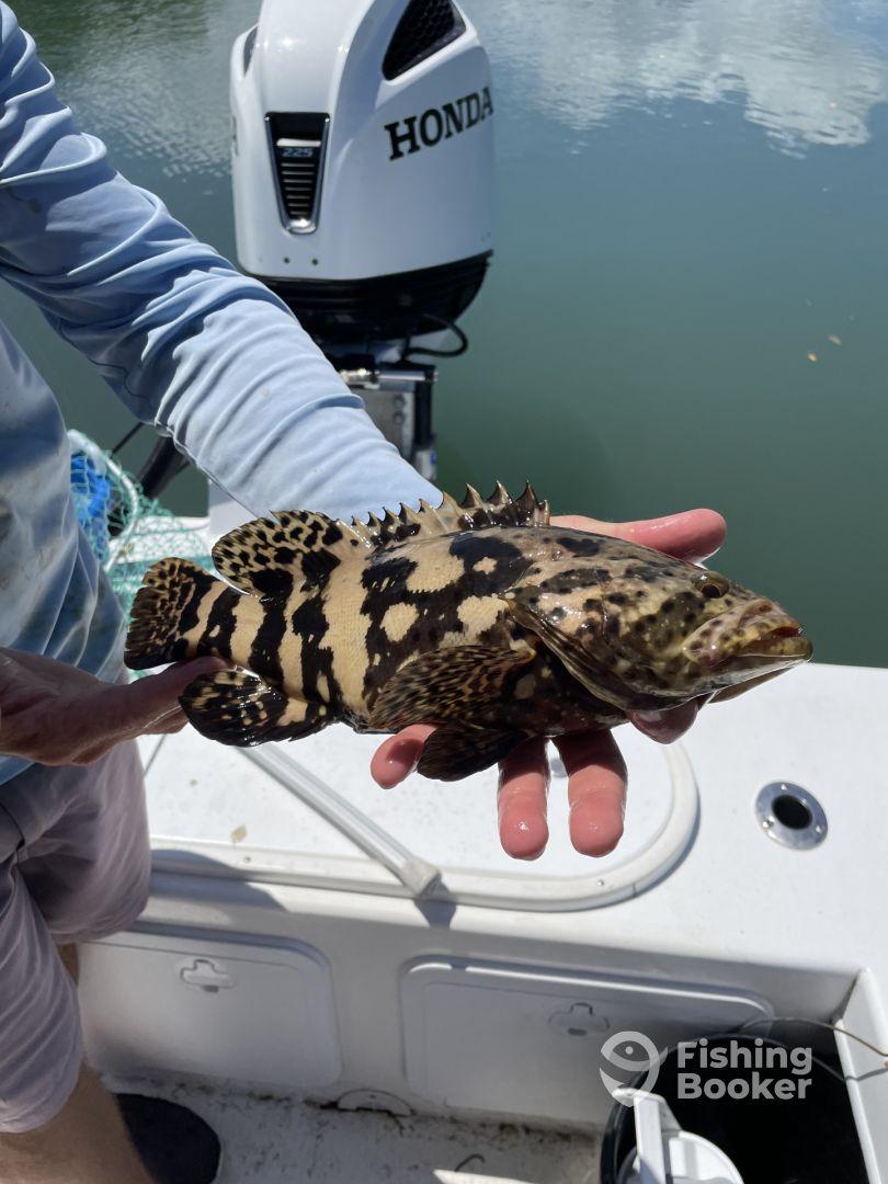 Yearly 6 hr trip…. Inshore / nearshore
