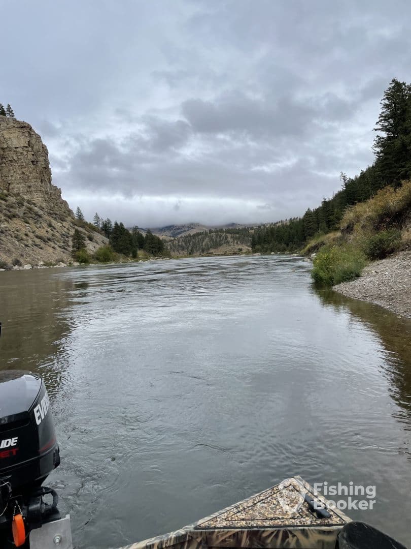 Montana trout fishing