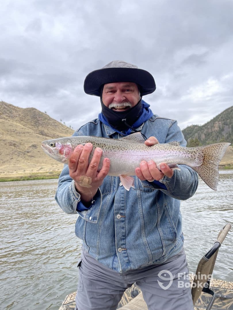 Montana trout fishing