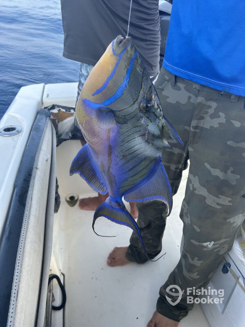 3 hour inshore trip 