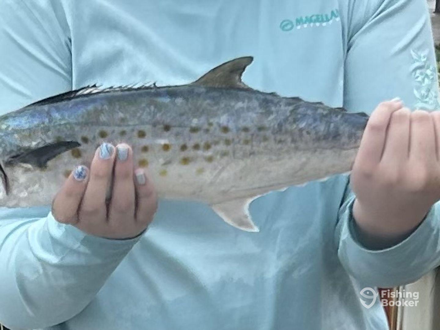 Great morning on the boat